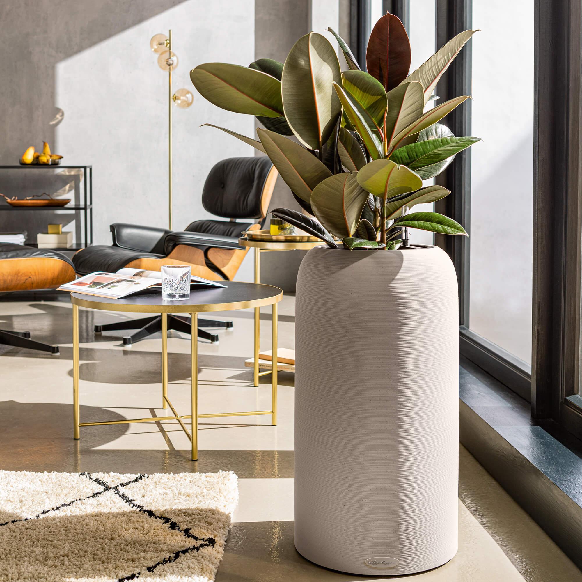 le_havalo30_product_addi_01